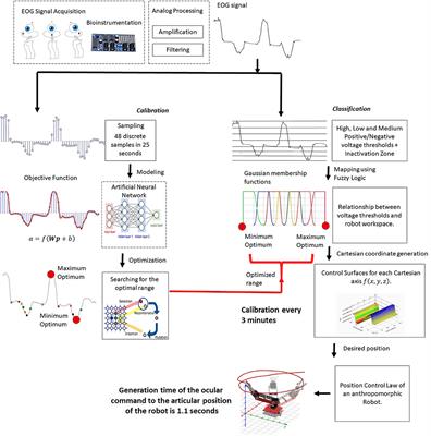 A Custom EOG-Based HMI Using Neural Network Modeling to Real-Time for the Trajectory Tracking of a Manipulator Robot